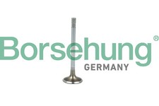 Für BORSEHUNG B19021 INTAKE