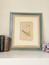 Framed Cockatoo Bird Print in Green and Gilt Frame, Classical Mount