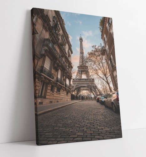 Paris street with view the - view,