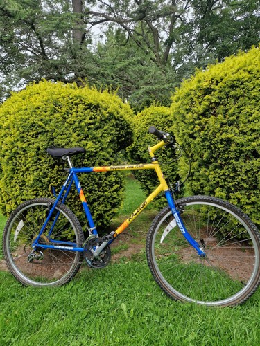 Raleigh team mountain - team, bike