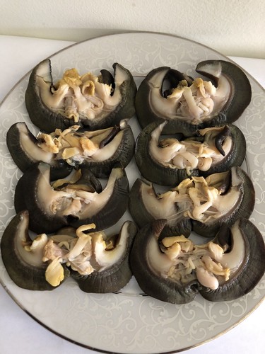 Fresh frozen jumbo snails - frozen, 10