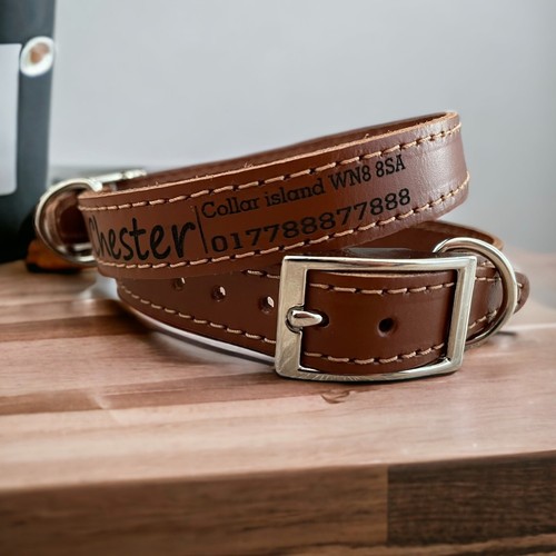 Personalized real leather - real, dog