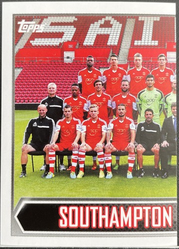 Topps premier league 2014 - premier, #