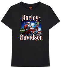 HARLEY DAVIDSON JOY RIDE