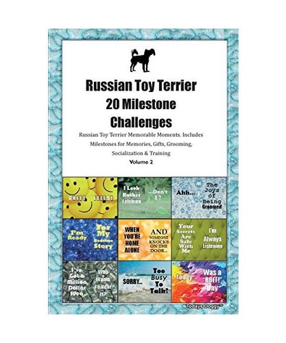 Russian toy terrier russkiy - terrier, [russkiy