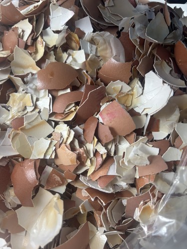 Crushed chicken egg shells 1kg - crushed,