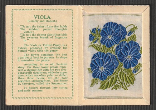 Kensitas wix silk flower - silk,