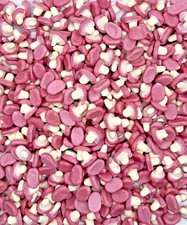 100g Mini Mushrooms Sweets