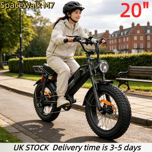 Fat tire electric bike - 20"fat,