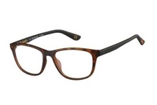 Superdry Haru C:102 Glasses