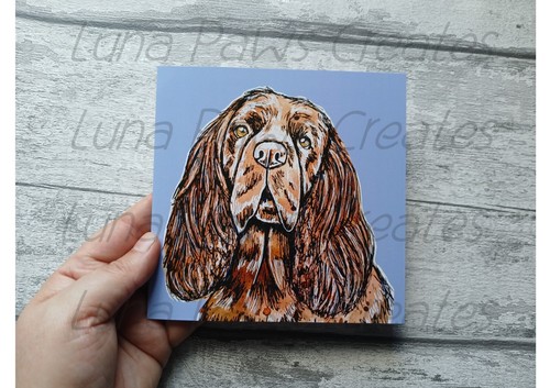 Sussex spaniel greetings card - sussex,