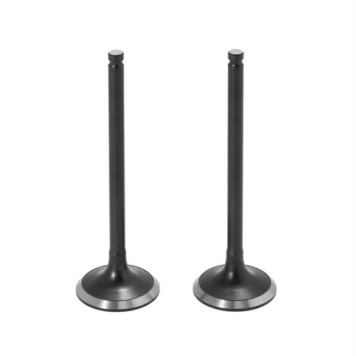 Piar exhaust valves kit for - mx,