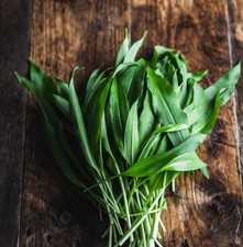 Wild Garlic 100 Grams (3.5 Oz)