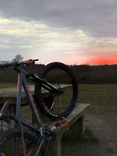 Carrera Vendetta 27.5 Inch