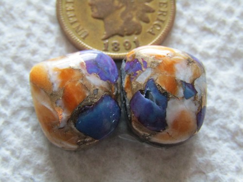 Spiny oyster shell purple - spiny,