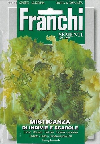 Franchi seeds endive salad - endive,