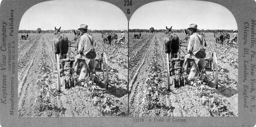 Az02 keystone stereoview - az02,
