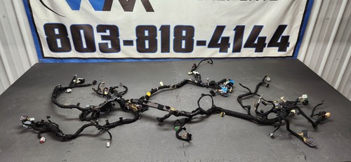 2024 2026 ford mustang - ford,