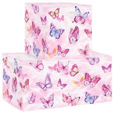Butterfly Kid Storage Cube