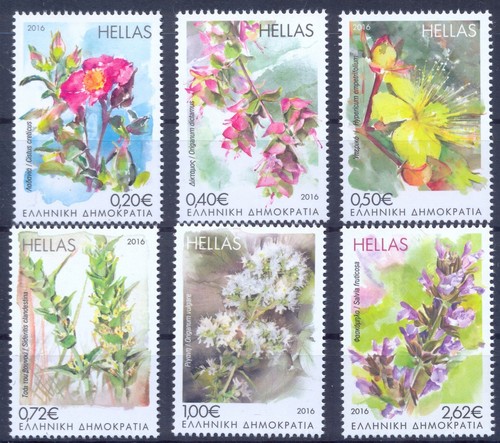Greece 2016 blooming herbs - greece, of