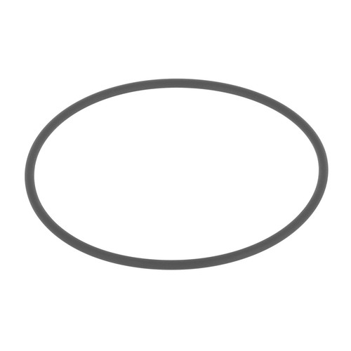 Henny penny ring - penny, o-ring