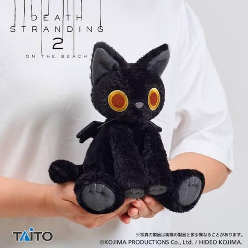 Death stranding the - 2, beach