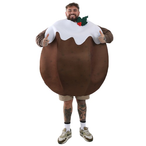 Christmas pudding novelty - christmas,