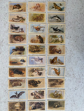 Grandee Cigar Cards BRITISH