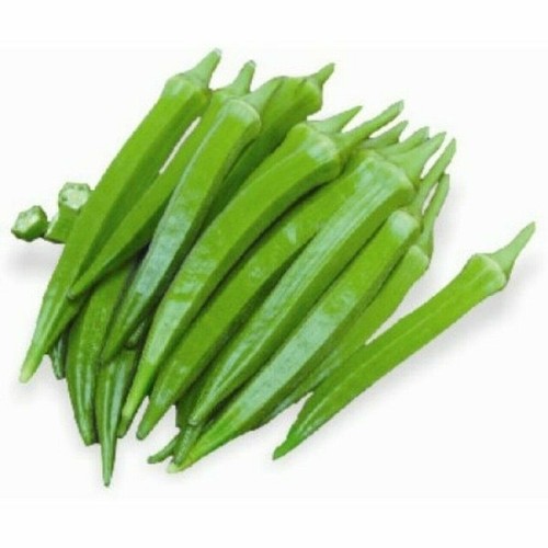 Fresh indian okra - okra, (lady