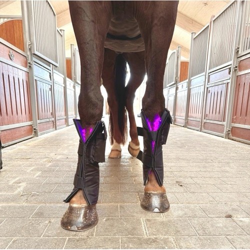 Equine lts led - equine,