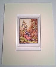 Vintage The Ground Ivy Flower