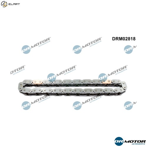Timing chain drm02818 - timing,