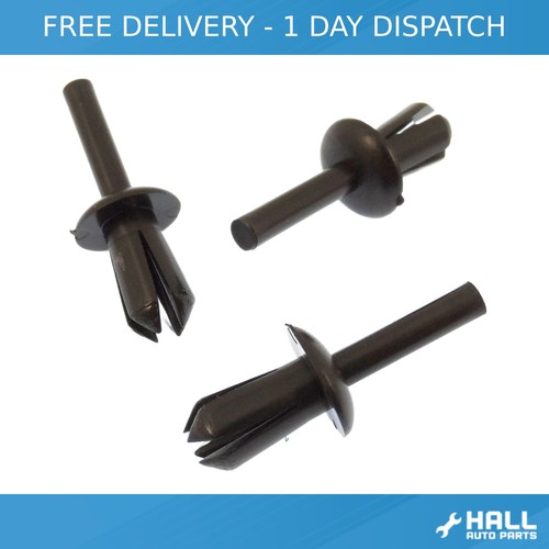 10x hap front - 10x,