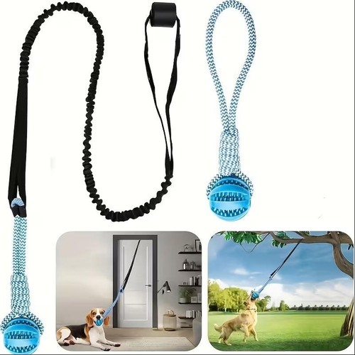 Outdoor bungee tug - bungee,