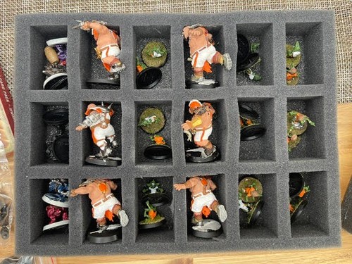Blood bowl painted - blood,