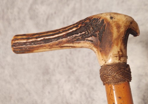 Antique antler malacca - antler,