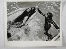 Killer Whale Orca Trainer Ed