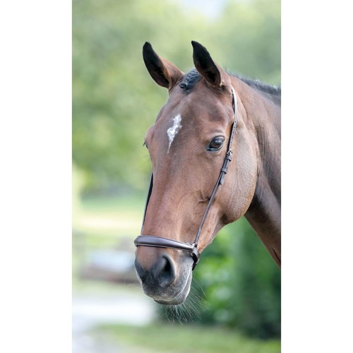 Shires velociti gara drop - velociti,