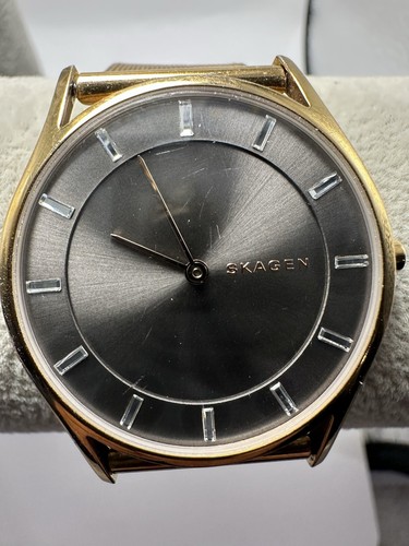 Skagen holst skw2378 ladies - holst,