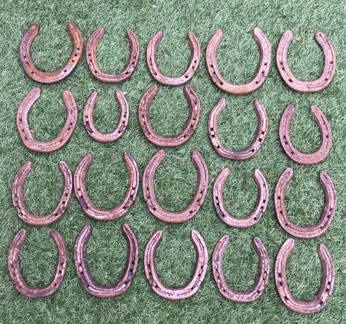 Used real horseshoes 20 - used,