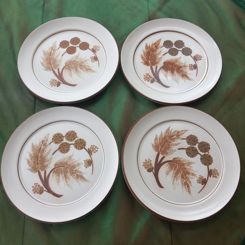 Denby cotswold 4 dinner - cotswold,
