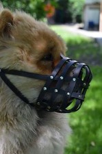 Light Leather dog Muzzle Chow