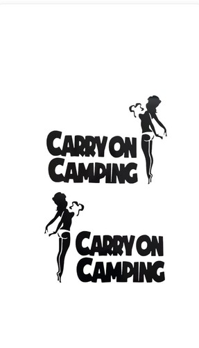 Carry camping vinyl - 2x,