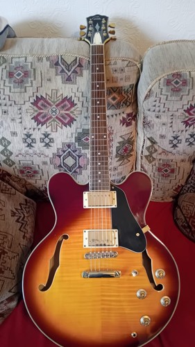 Gould semi acoustic guitar - acoustic, 6