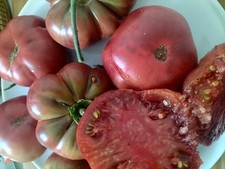 Tomato Black Krim 25 Seeds