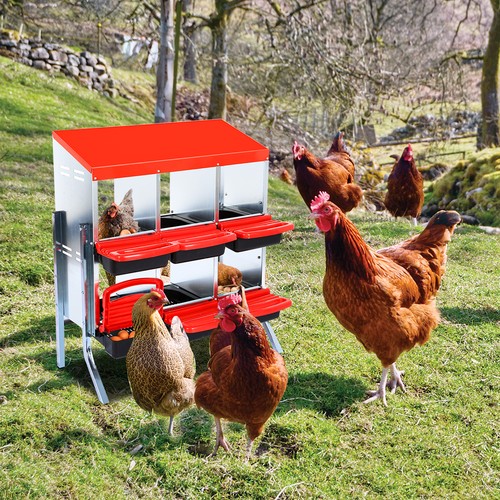 Metal chicken nesting - chicken,