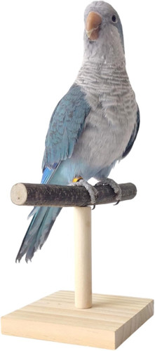 Bird perch stand - stand,,