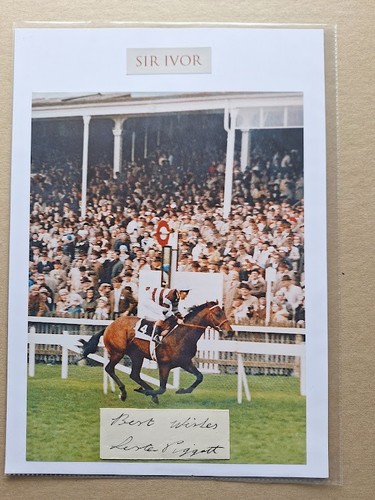 Lester piggott horse - horse, racing