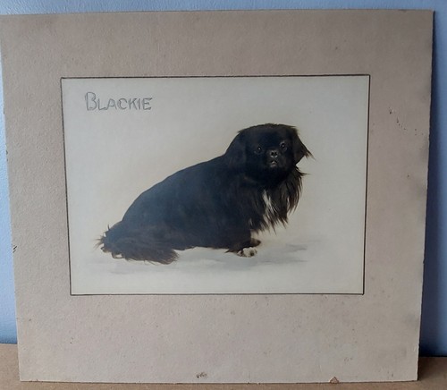 Antique pekingese dog large - pekingese,