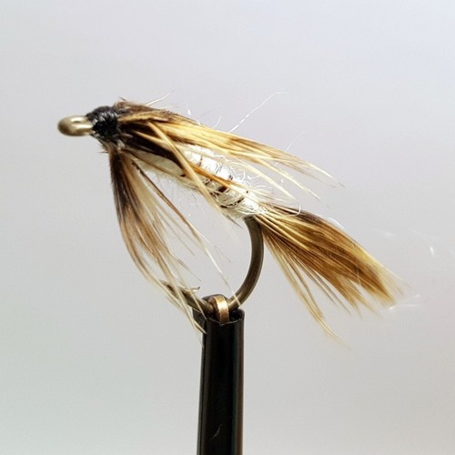 Mayfly nymph fly fishing - 3,